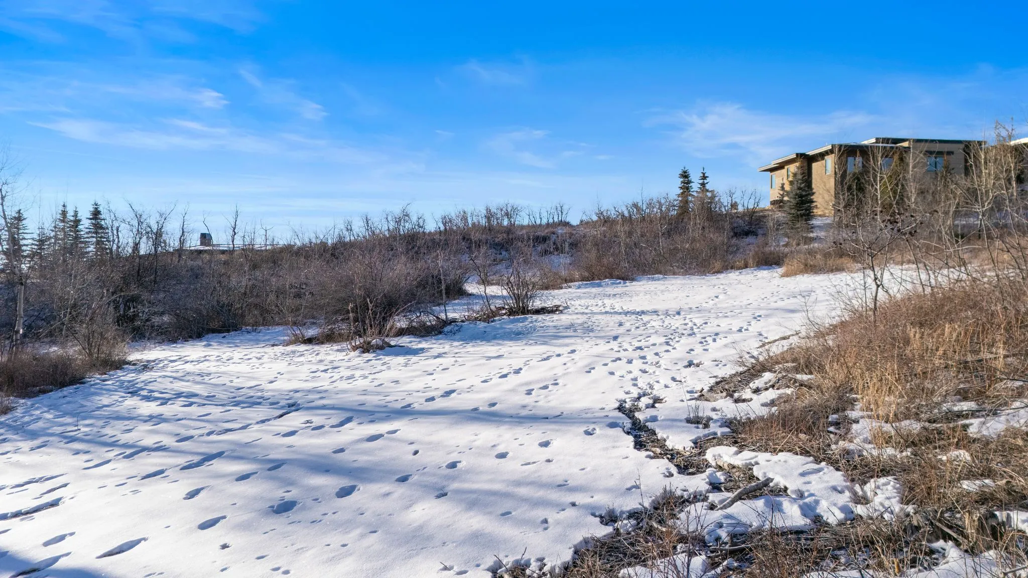 View of yard covered in snow