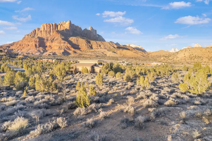 View of mountain background with a desert landscape