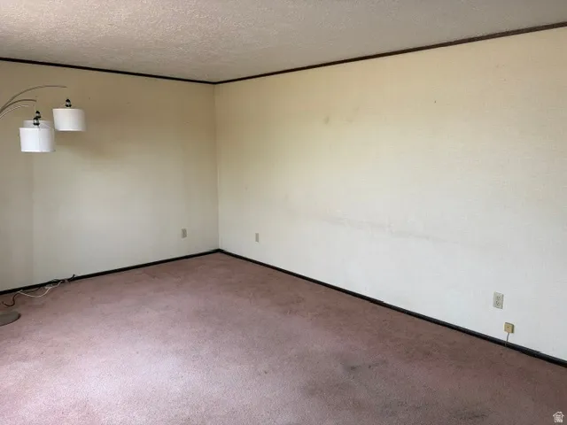 Spacious room with light-colored walls, dark trim, and carpeting