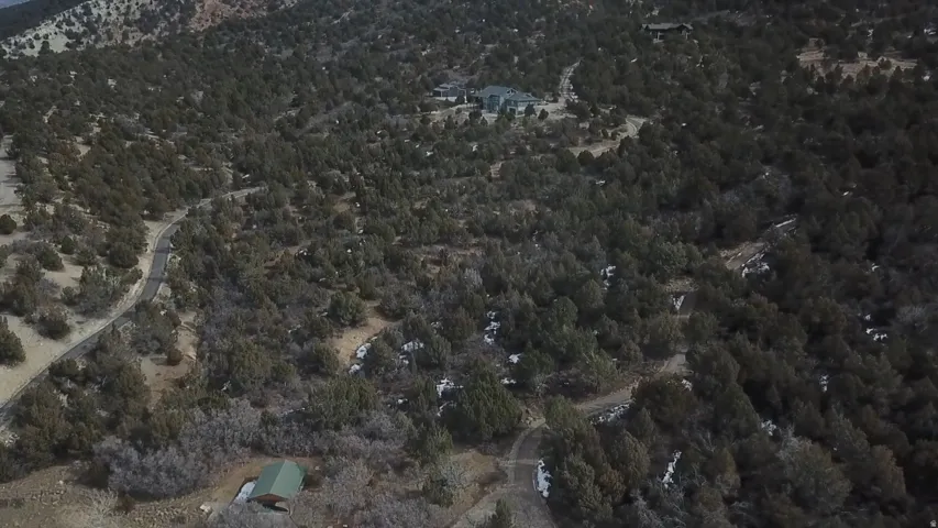 View of property location with a heavily wooded area