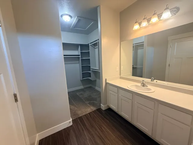 Bathroom featuring a spacious closet, vanity, and dark wood finished floors