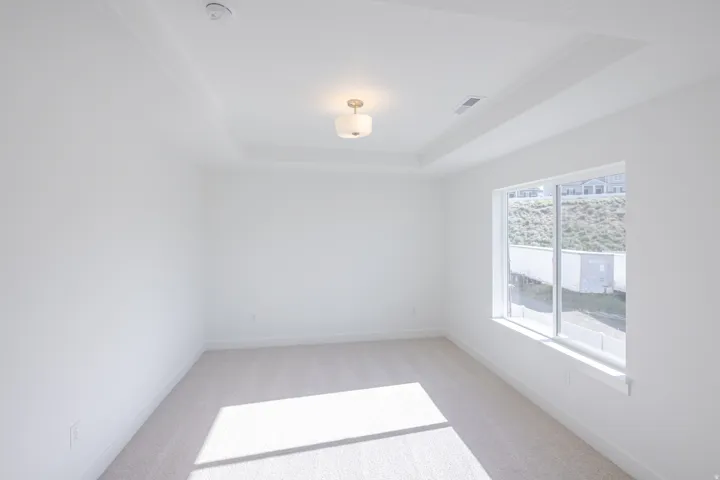 Spacious room featuring light-toned carpeting, a recessed tray ceiling, a central ceiling light fixture, and a large window