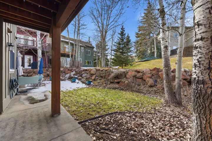 View of yard featuring a patio area