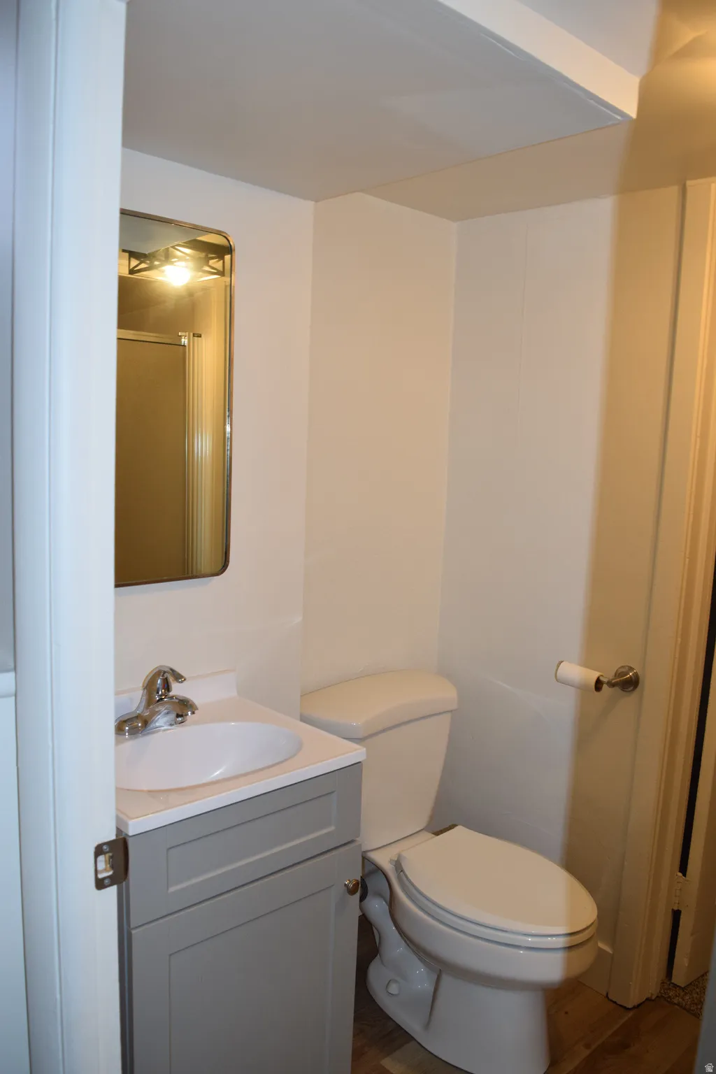 Bathroom with vanity and dark wood finished floors