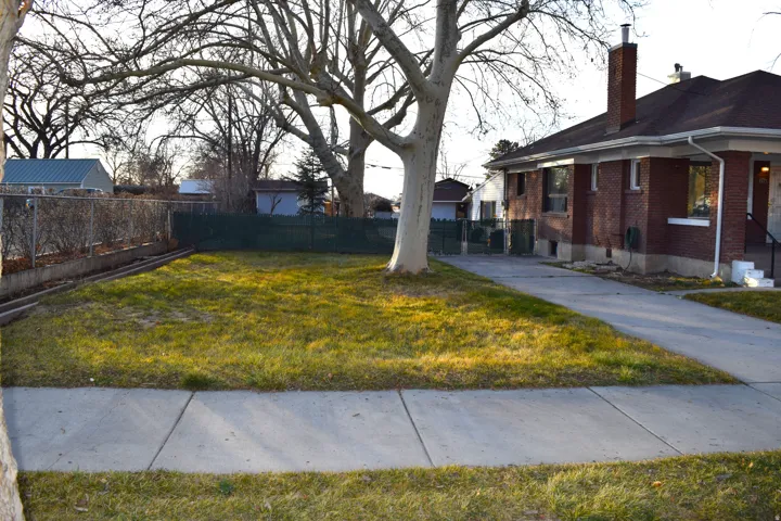 View of fenced backyard