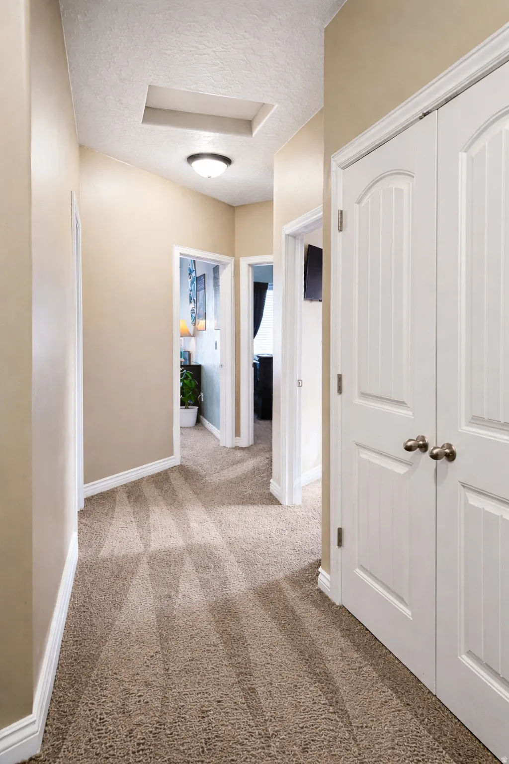 Corridor featuring carpet floors and a textured ceiling