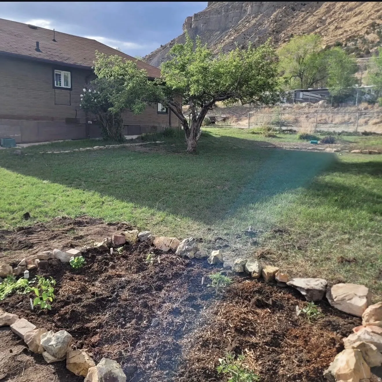 Photo of Garden during Summer