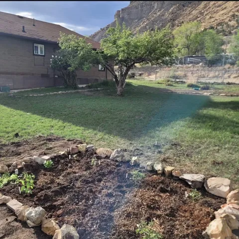 Photo of Garden during Summer