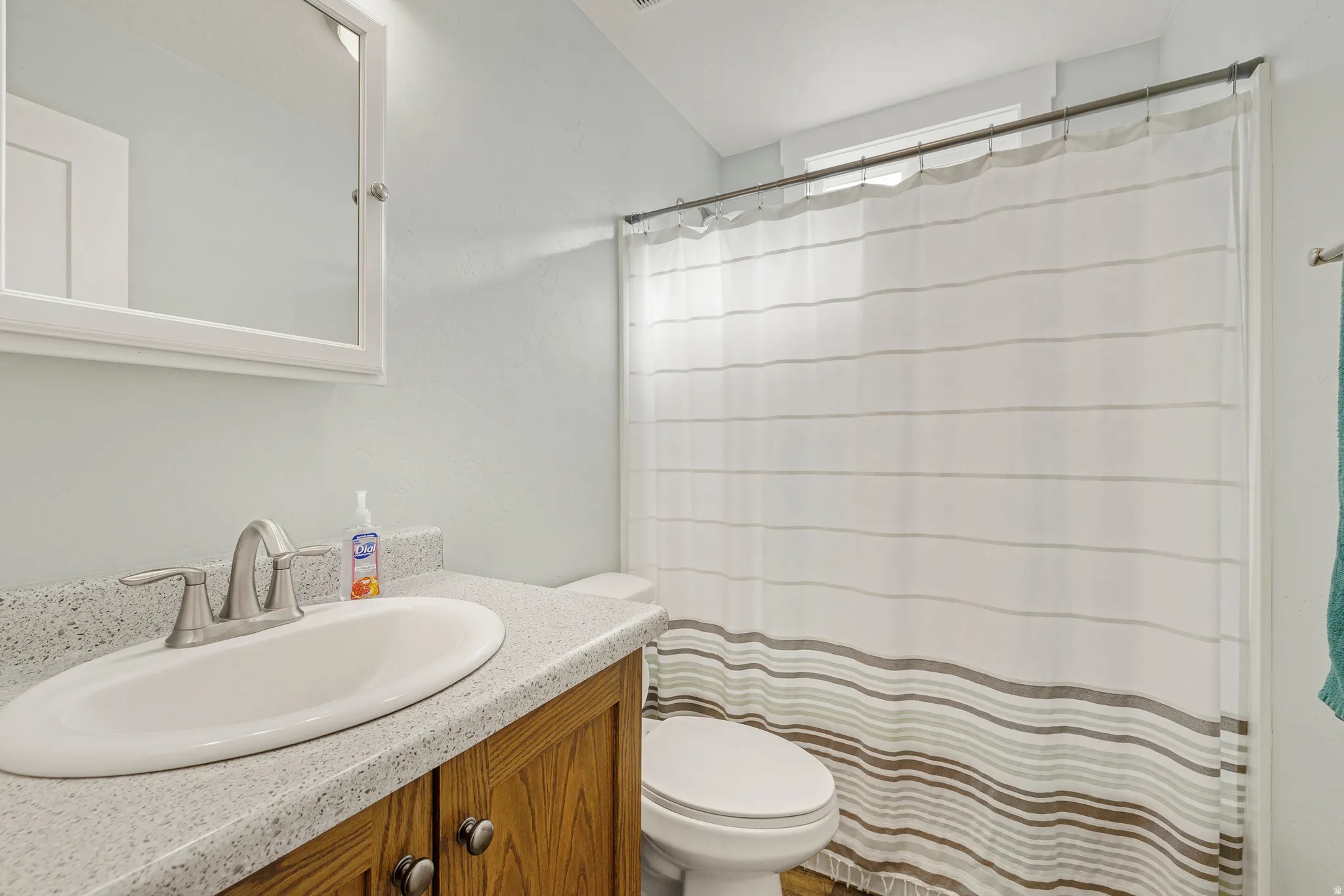 Full bathroom featuring vanity and a shower with curtain