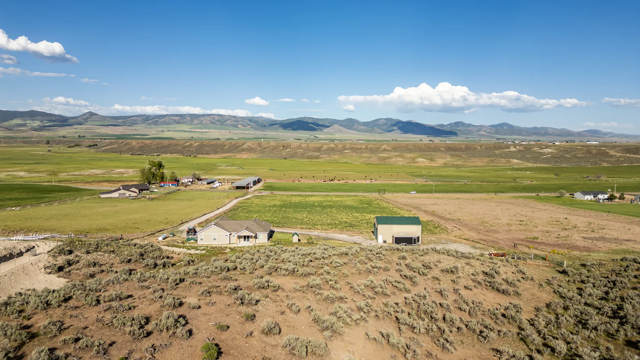 Expansive property featuring a single-story residence, multiple agricultural outbuildings, and a large detached garage with a green roof