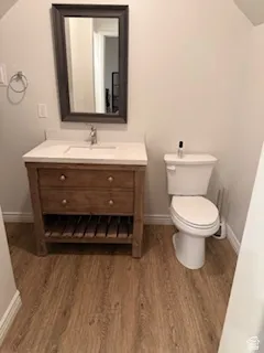 Bathroom featuring vaulted ceiling, vanity, and dark wood-style flooring