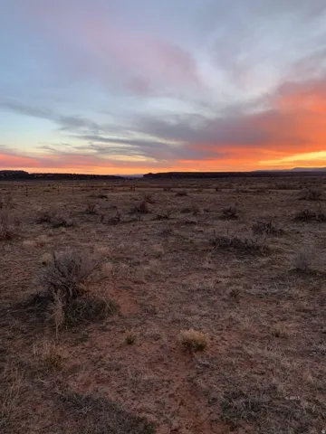 View of undeveloped land featuring rural landscape