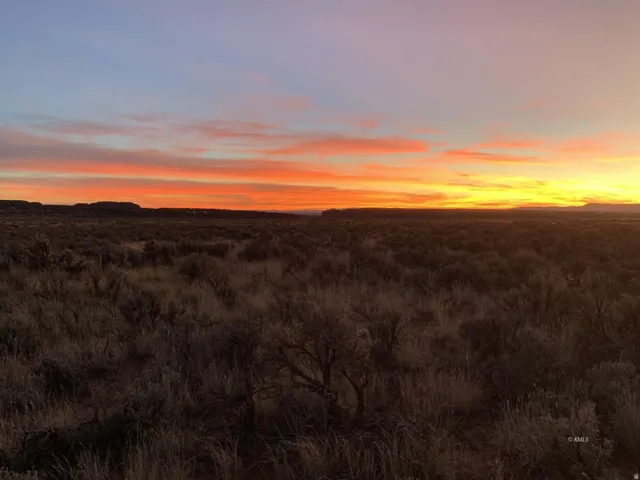 View of nature at dusk