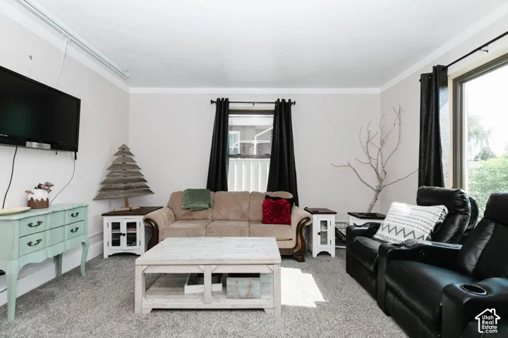 Living room featuring carpet flooring and ornamental molding