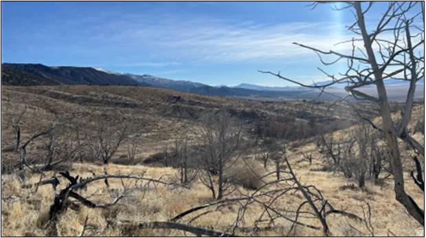 View of mountain background