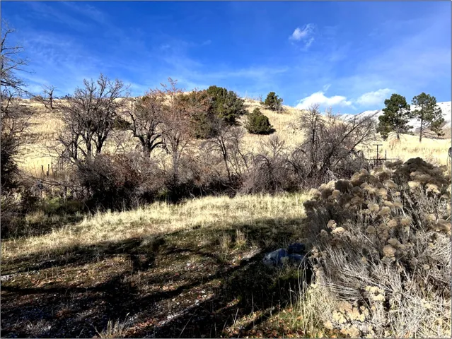 View of nature