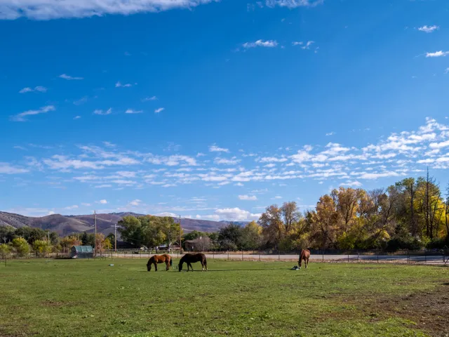 152 N 8750 E, Huntsville, Utah 84317
