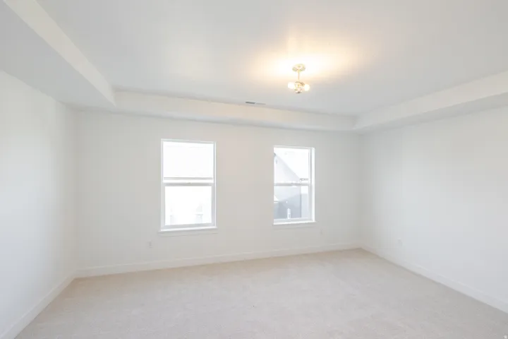 Spacious interior room featuring a tray ceiling with a semi-flush mount light fixture, two double-hung windows, plush neutral carpet, and white baseboards
