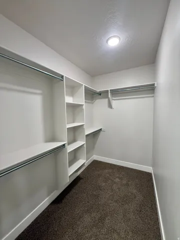 Walk-in closet featuring built-in shelving, hanging rods, and carpet flooring
