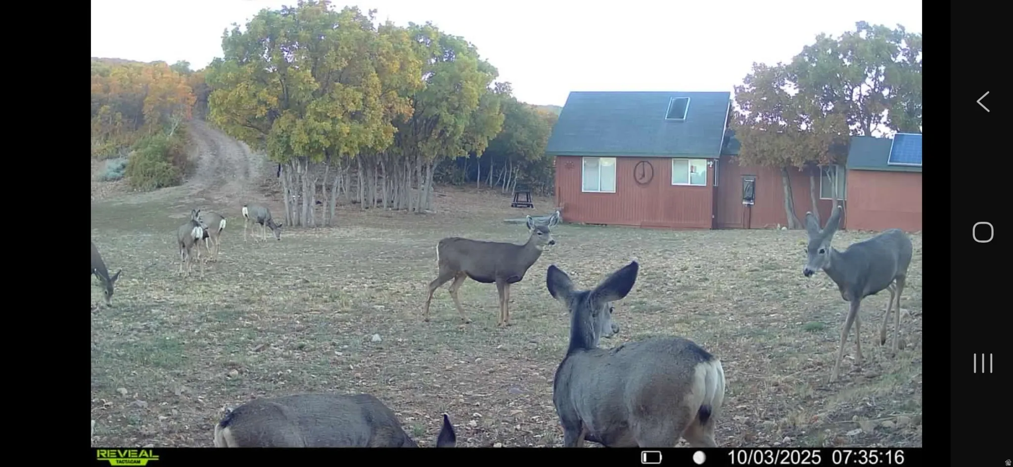 The Wonderment of Your Own Private Views of what could be Daily Wildlife!
