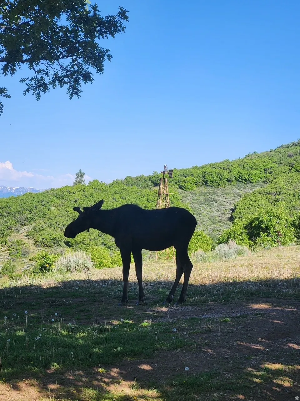 Can you picture yourself living here?