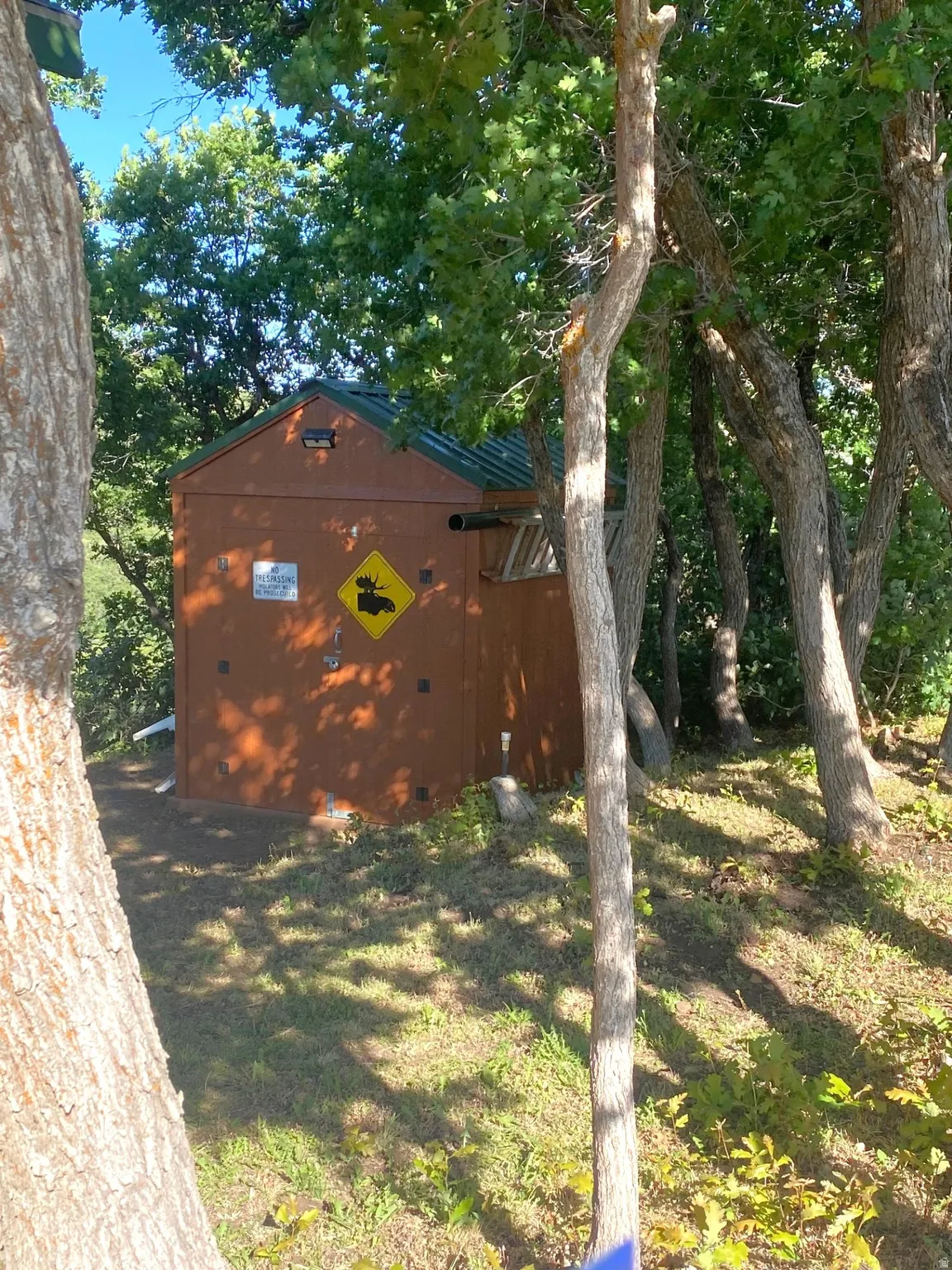 View of yard with a storage unit