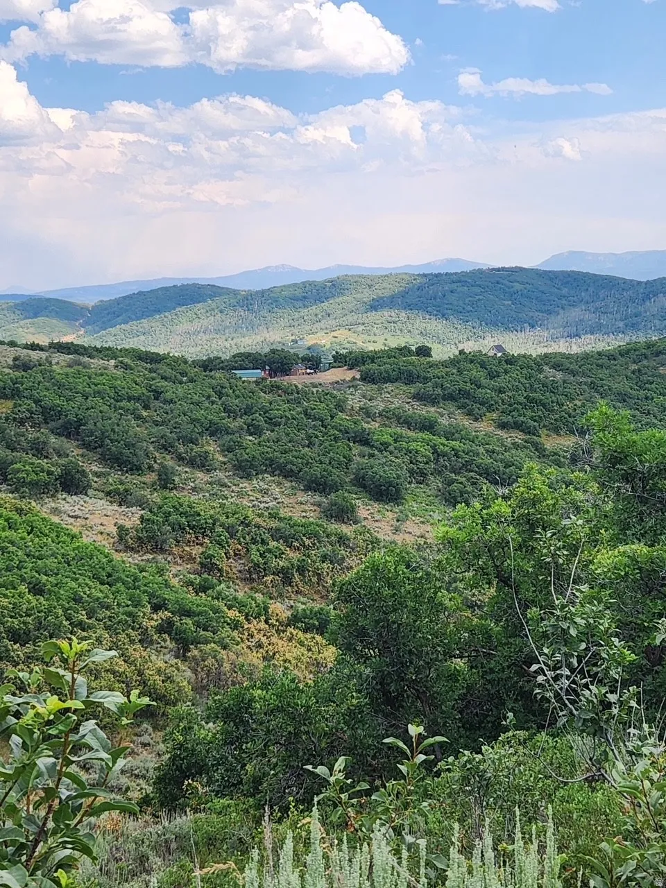 View of stunning 21.14 acres! Hunting and Relaxation right on your own piece of Mountain Paradise!