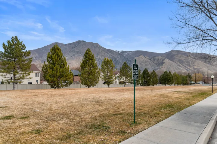View of mountain background