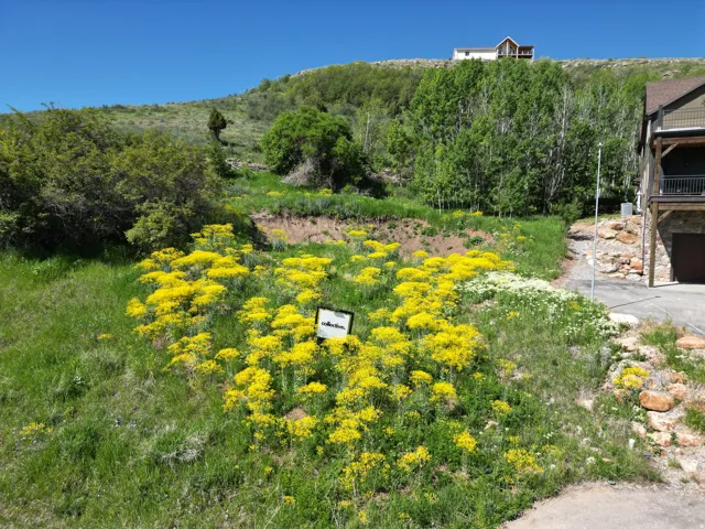 697 N Lochwood Dr, Garden City, Utah 84028