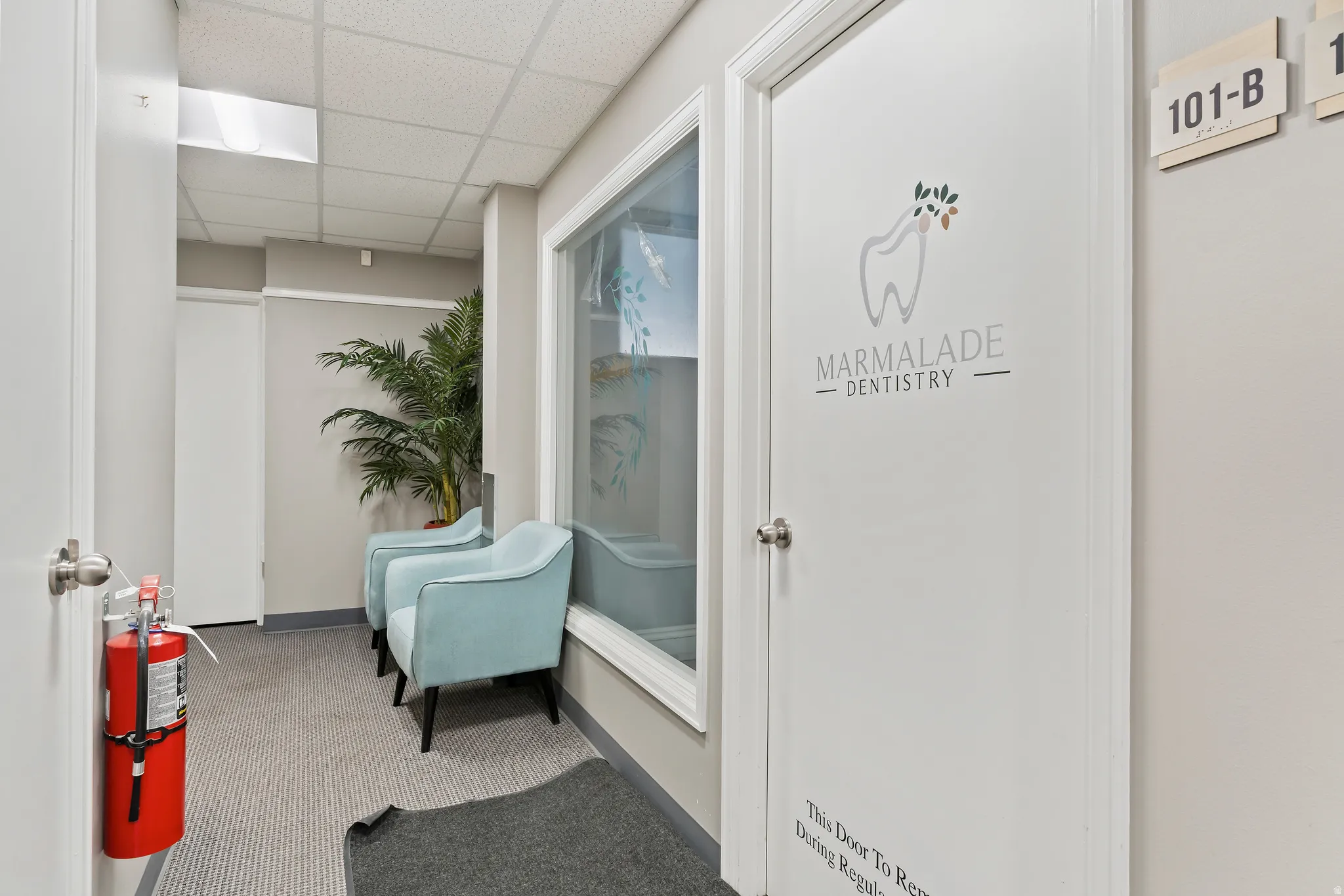 Corridor featuring a drop ceiling and carpet flooring