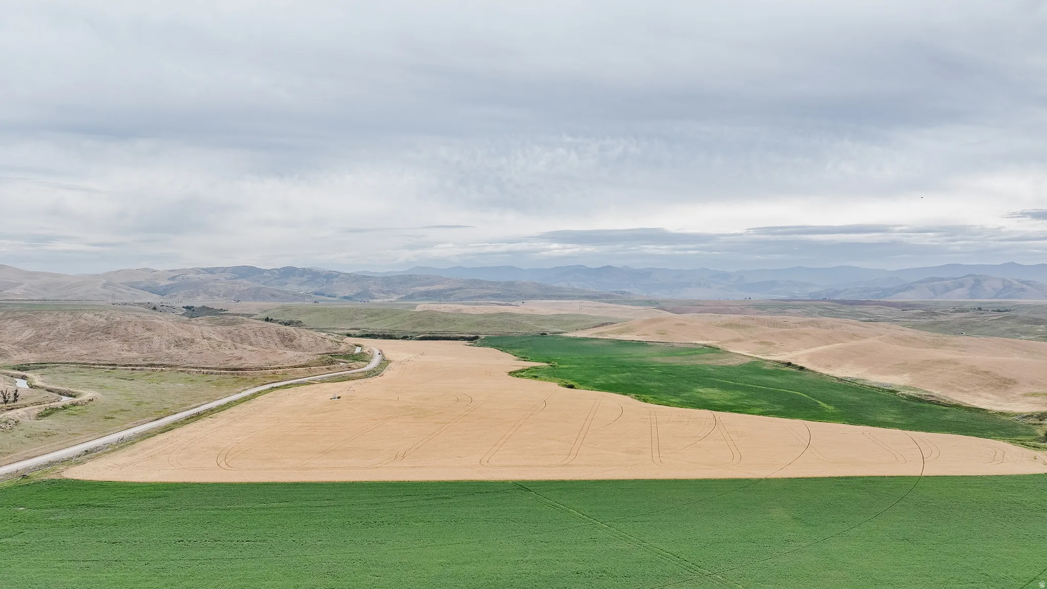 View of home's community featuring a mountain view