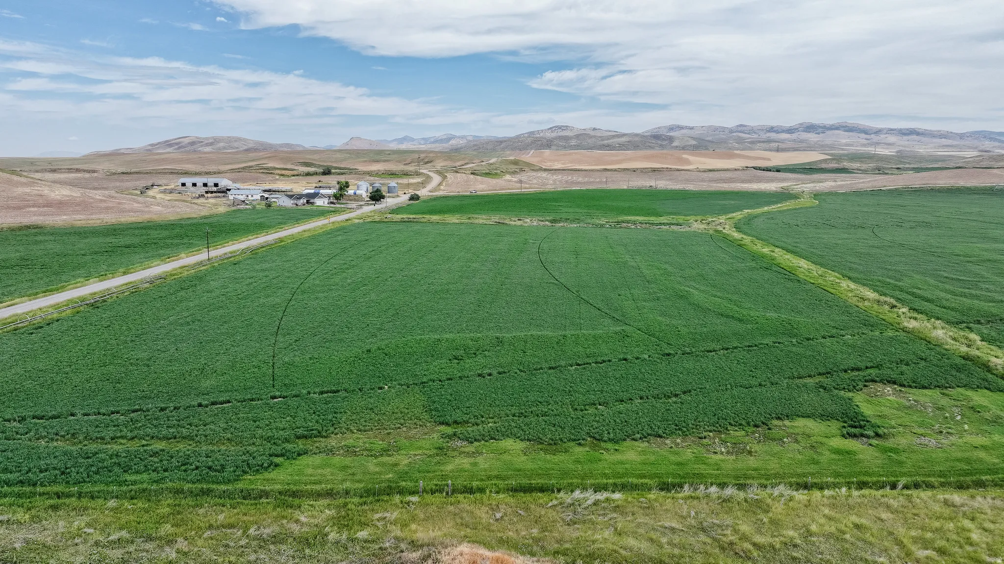 Aerial view of sparsely populated area with rows of crops and mountains