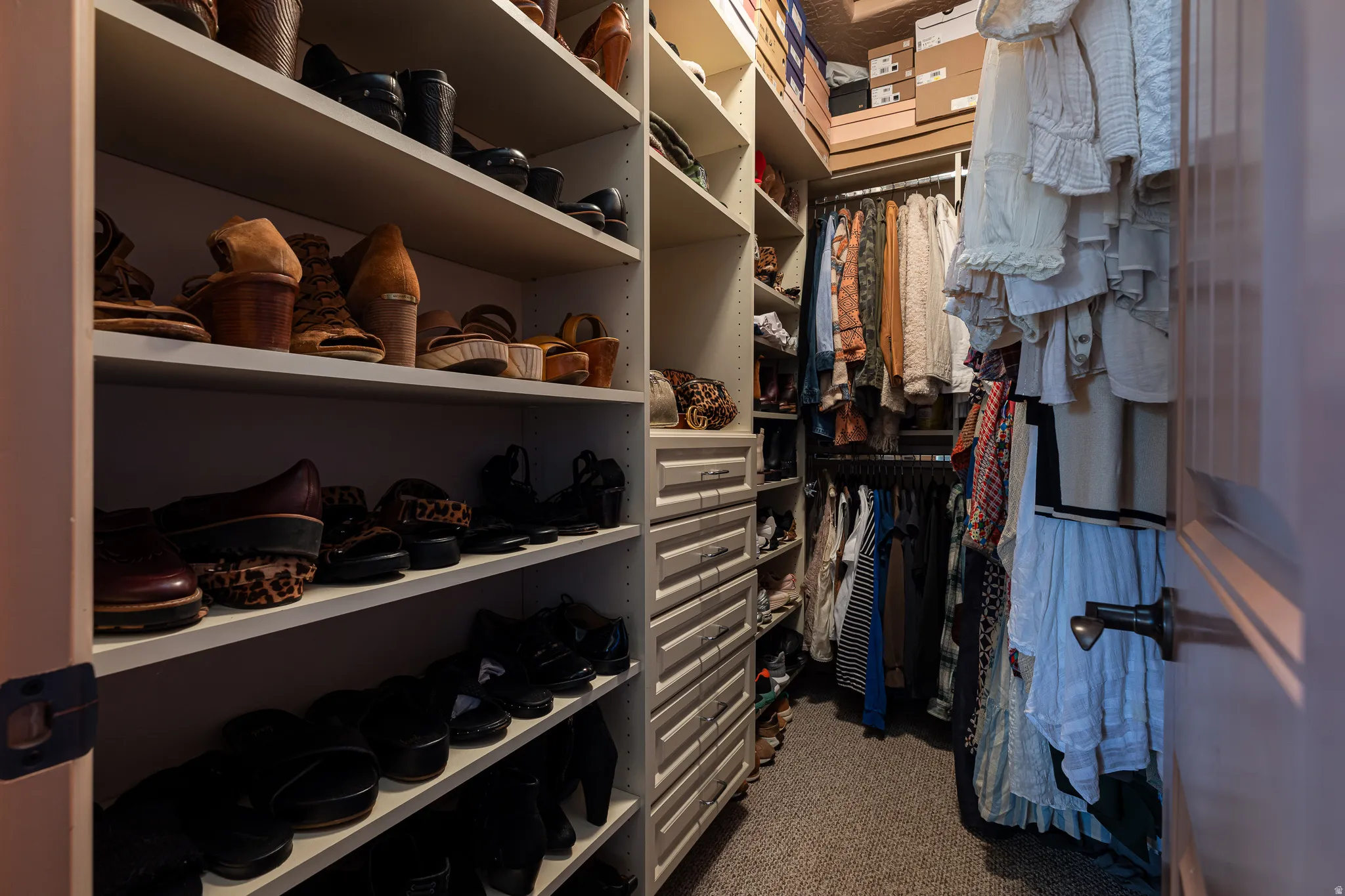 Walk in closet featuring light carpet