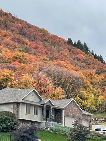 View of mountain background featuring a heavily wooded area