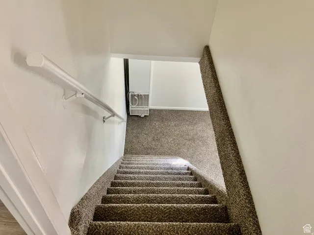 Stairs featuring carpet flooring