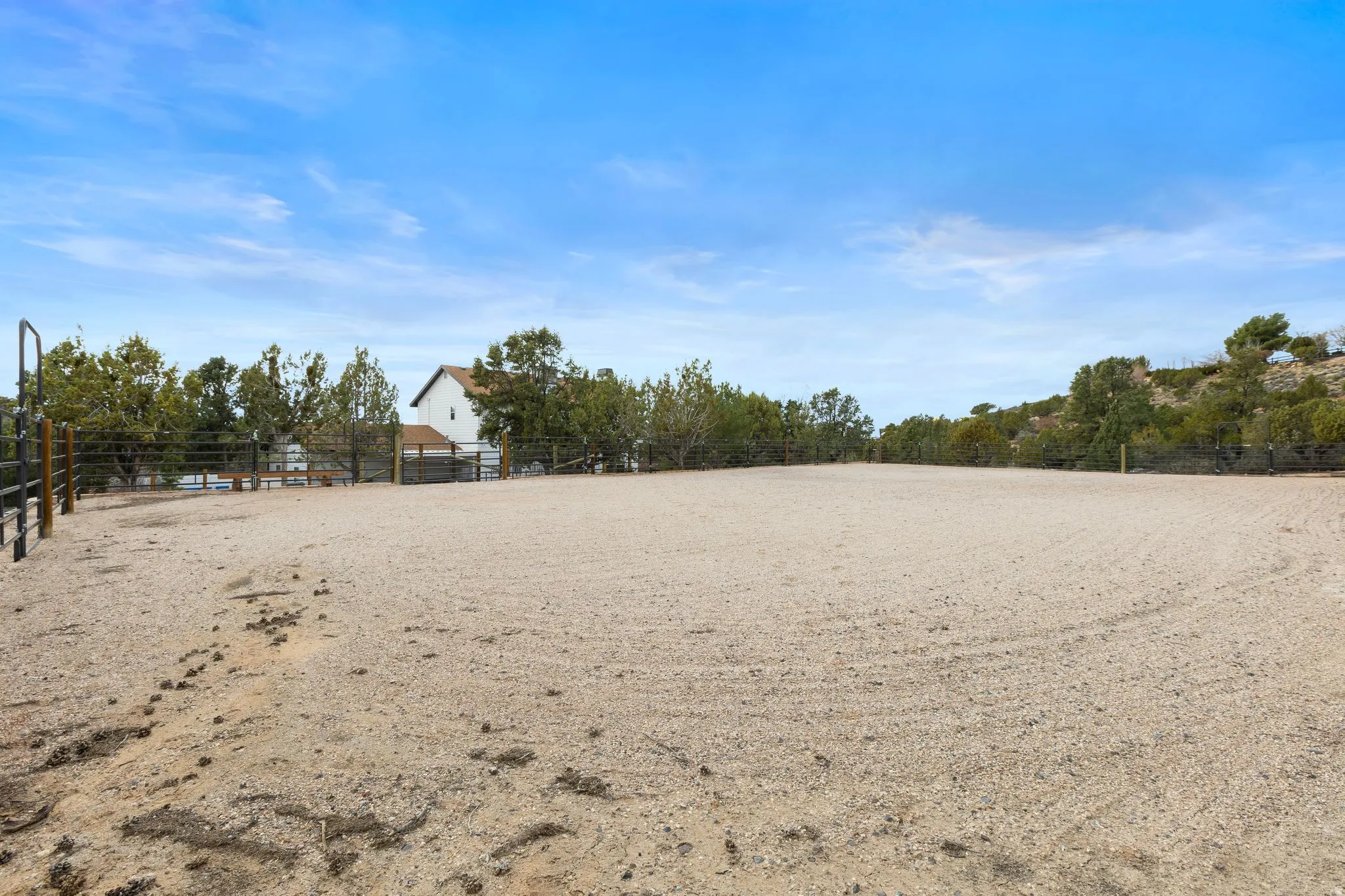 View of yard with an enclosed horse arena