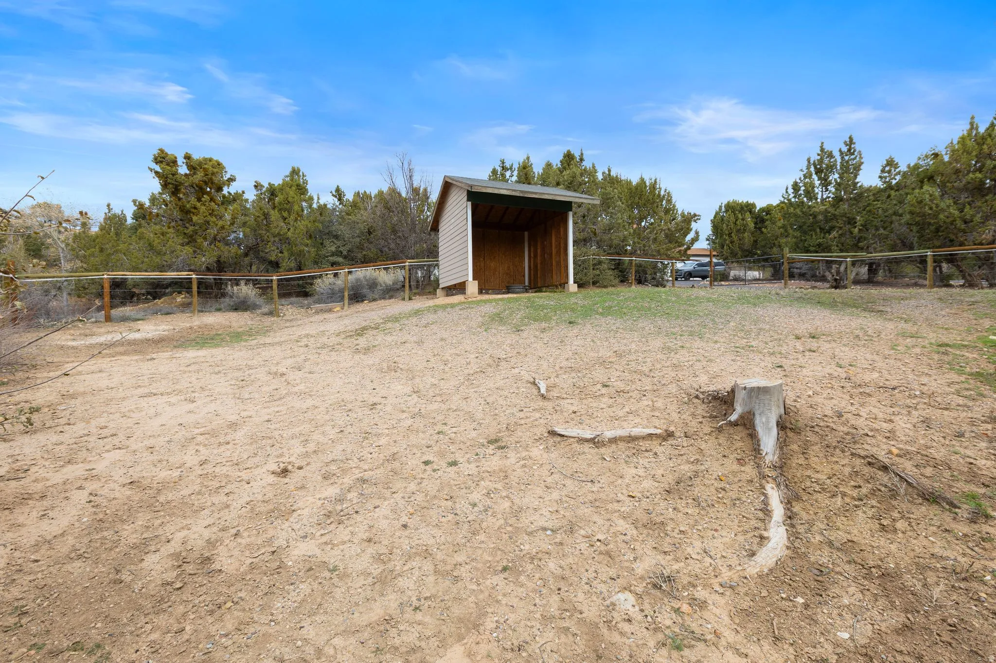 View of yard featuring an outbuilding and view of scattered trees