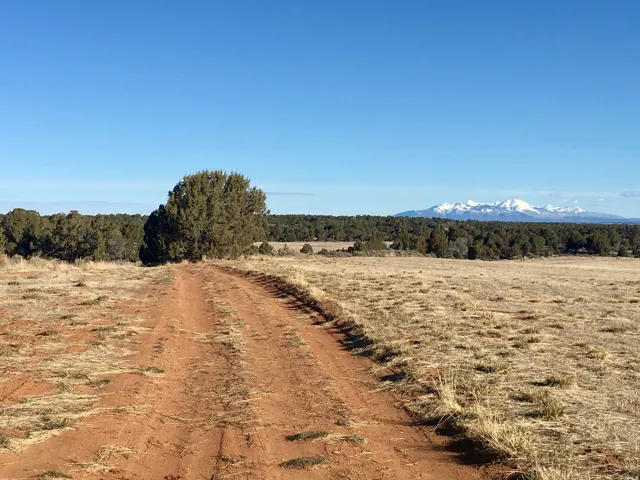 View of dirt / gravel road with a view of rural / pastoral area