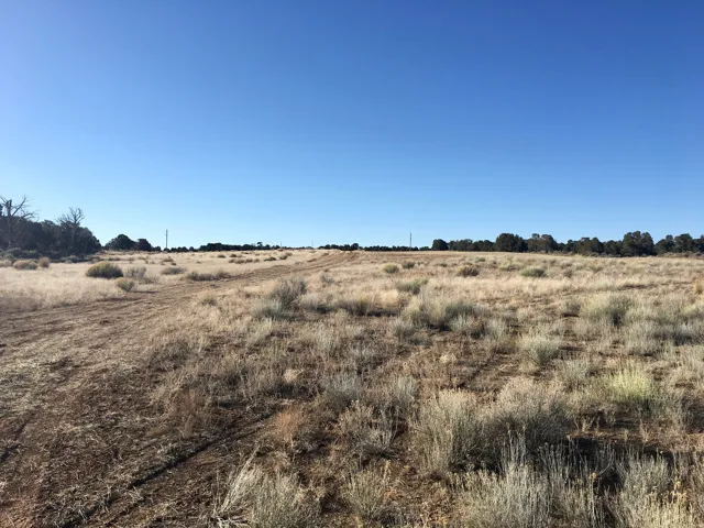 View of local wilderness featuring rural landscape