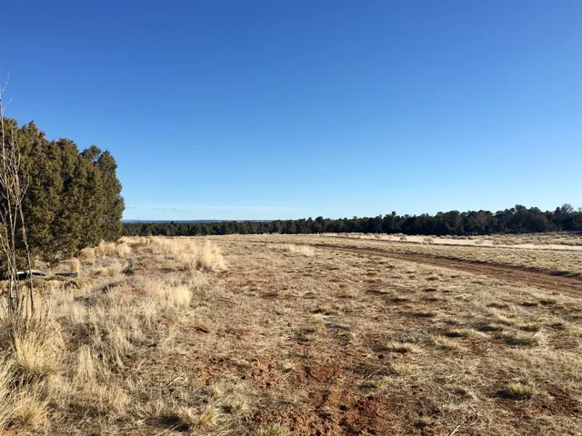 View of nature with rural landscape