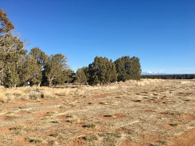 View of local wilderness with rural landscape