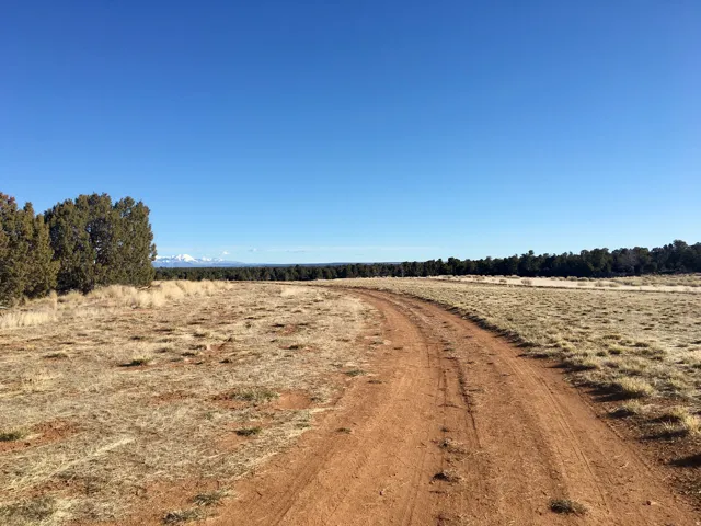 View of dirt / gravel road featuring a rural view