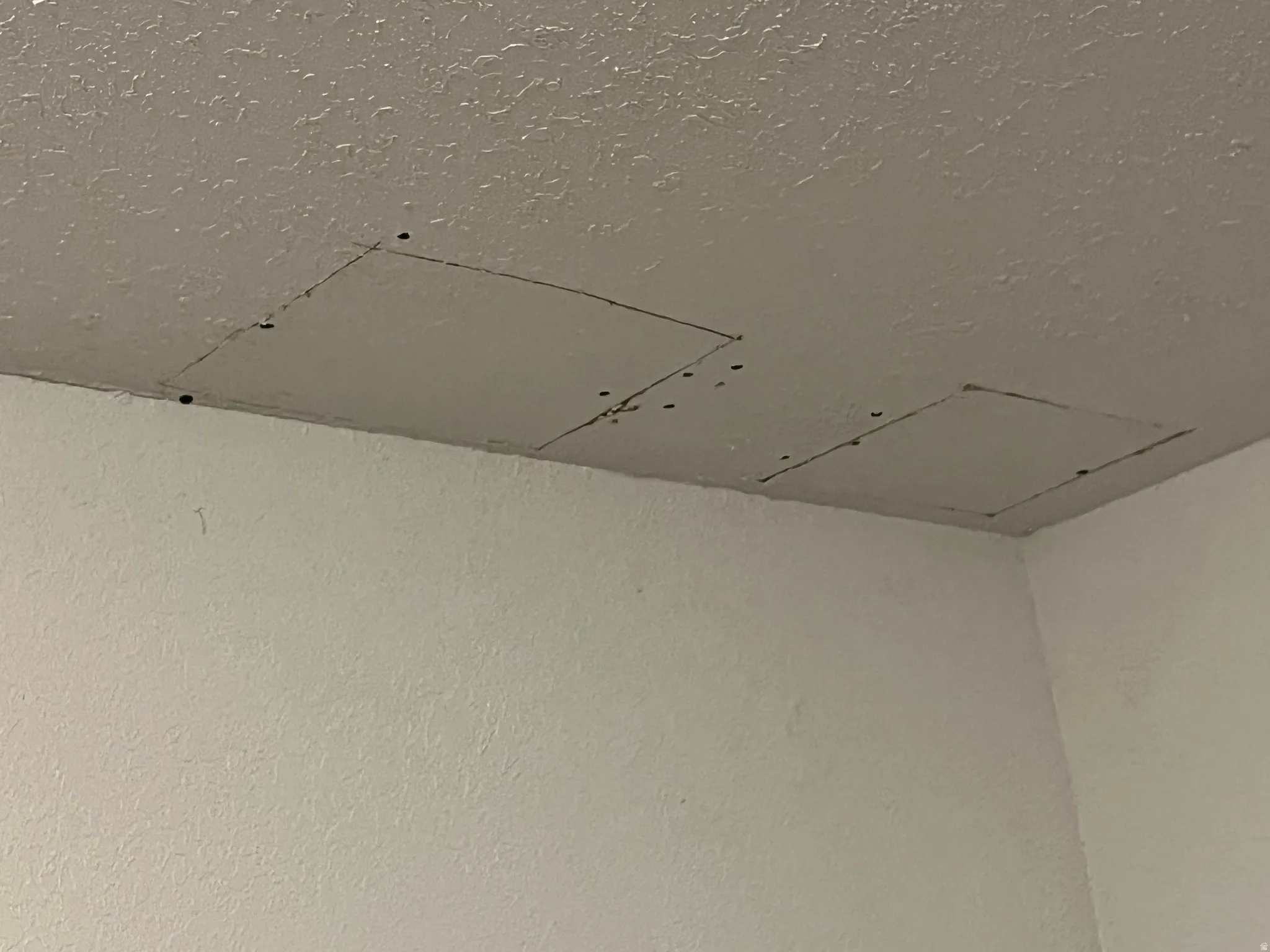 Ceiling repair