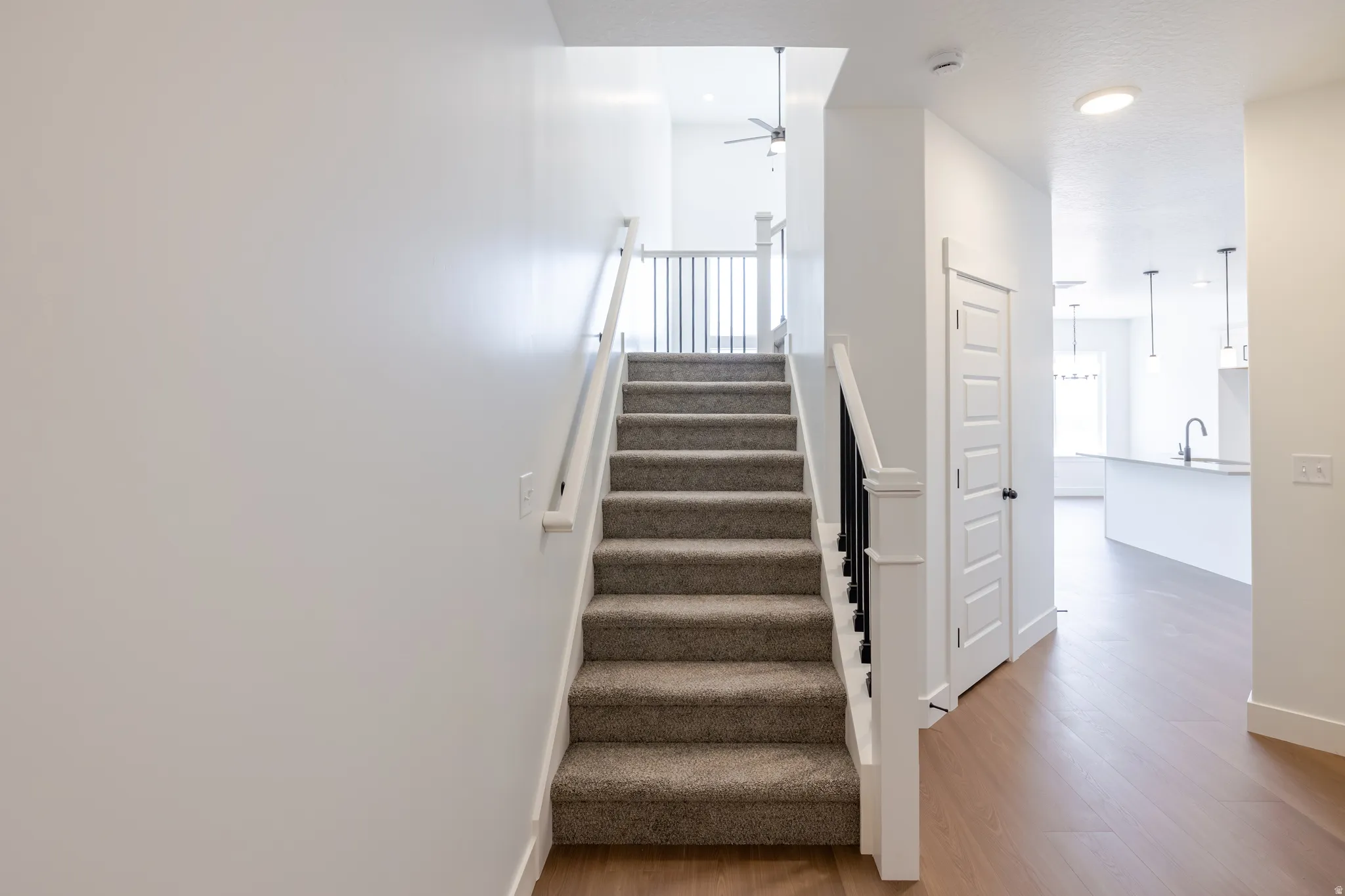 Carpeted staircase with white risers and dark wood handrails