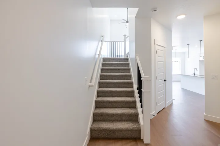 Carpeted staircase with white risers and dark wood handrails