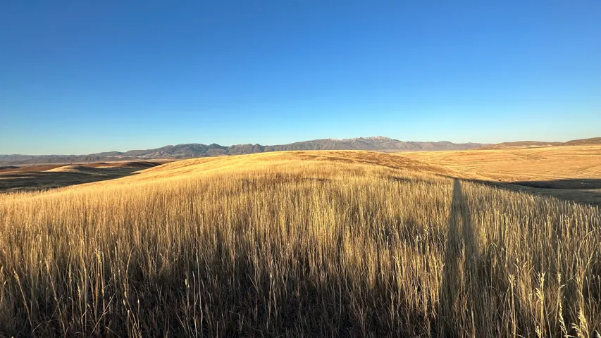 Mountain view with rural landscape
