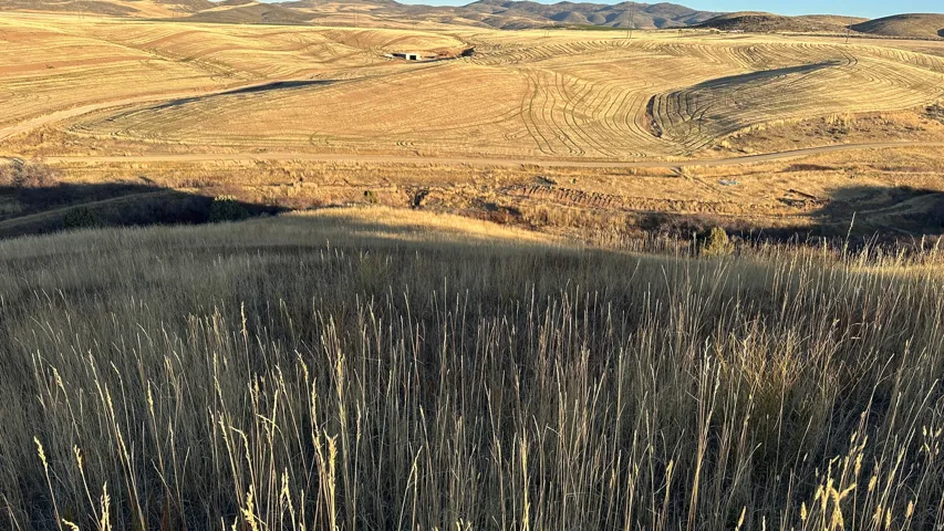 Mountain view featuring rural landscape