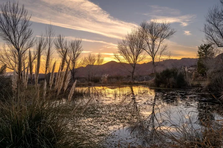 779 S Silver Rd, Leeds, Utah 84746