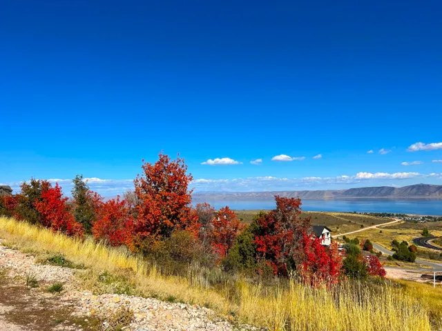Water view featuring a mountainous background