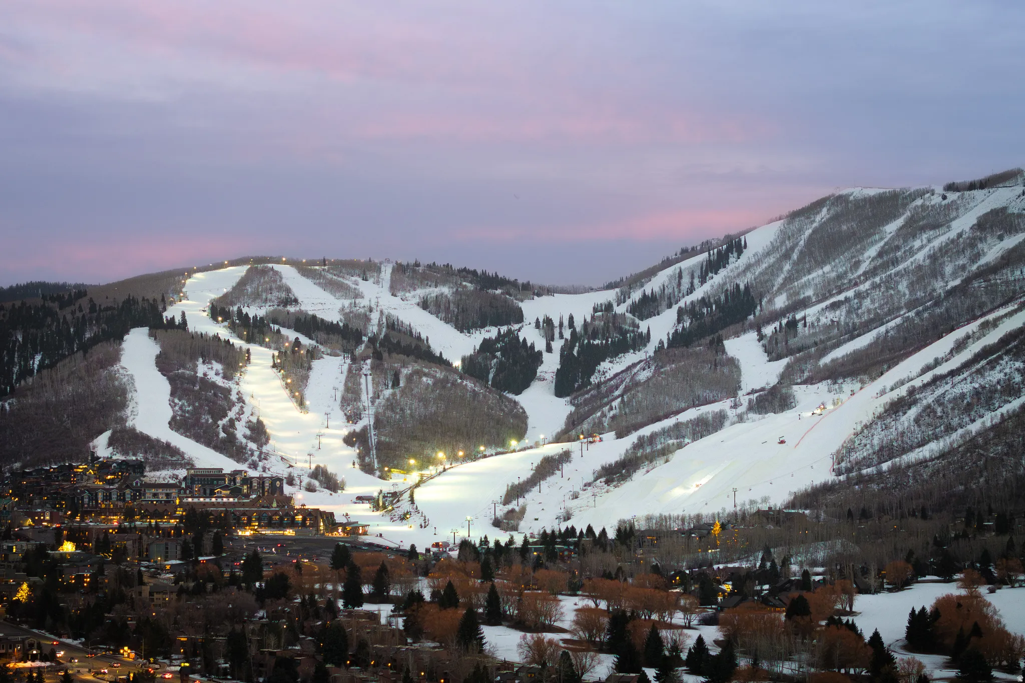 Mountain view featuring a tree filled landscape